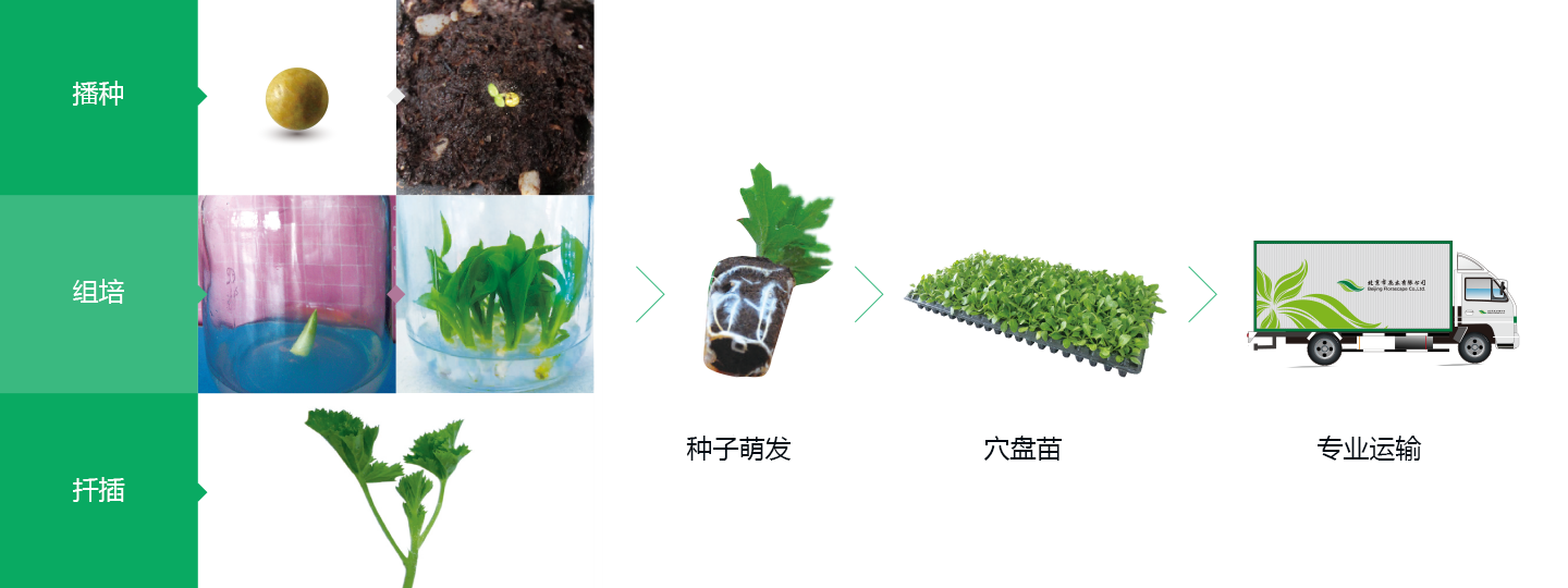 產(chǎn)品形式