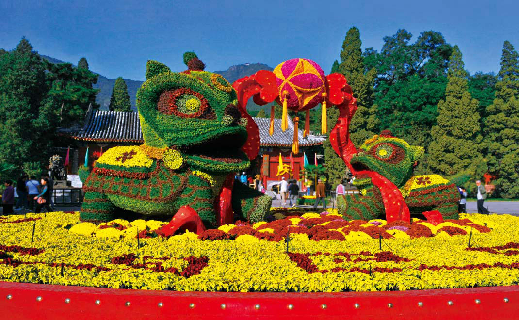 國(guó)慶六十周年花卉布置·香山公園“獅騰鼓樂(lè)”花壇